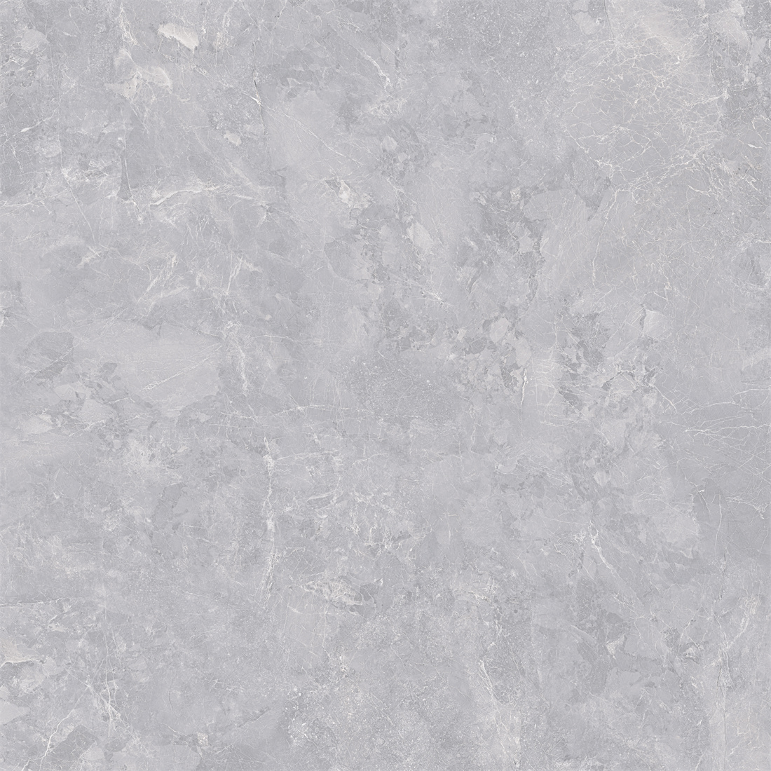 DDLT79810-克雷格灰