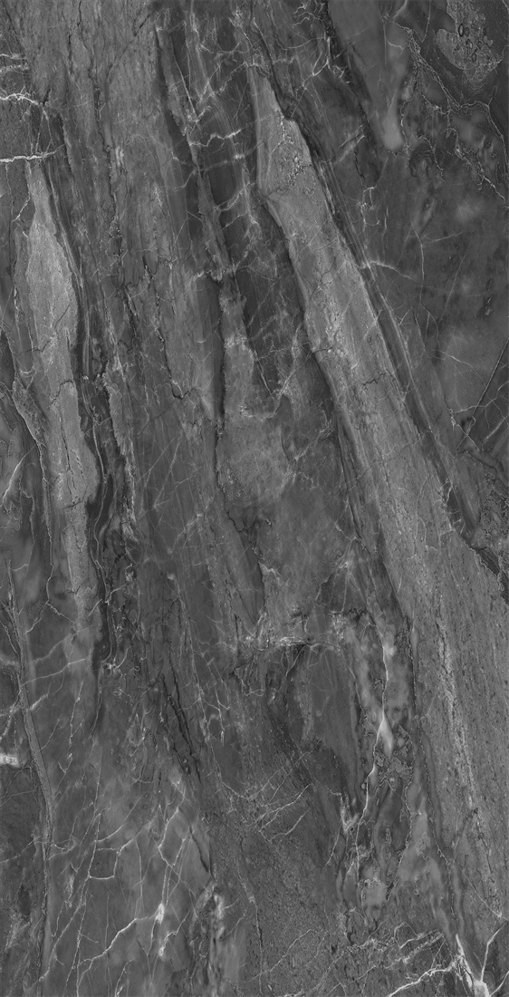 DFTL126154-巴里洛切