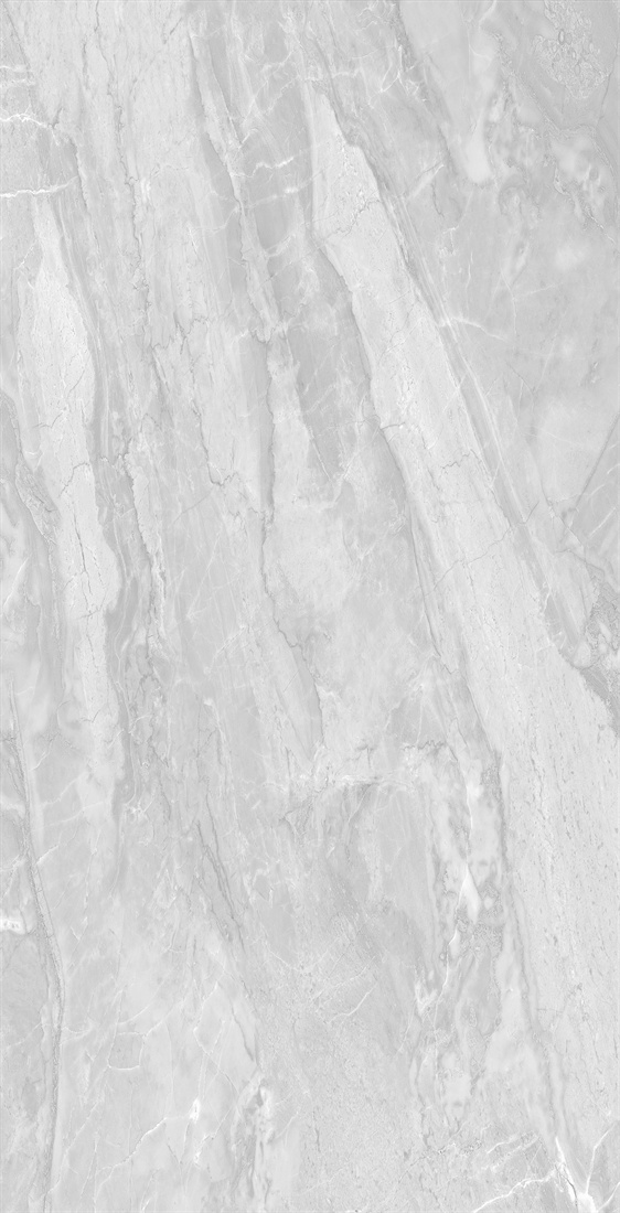 DFTL126155-巴里洛切