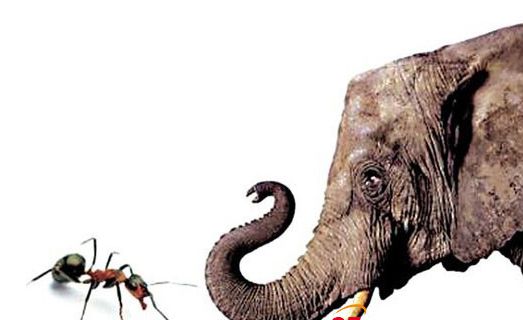 中國(guó)陶瓷網(wǎng)終端調(diào)研系列 | 三十...